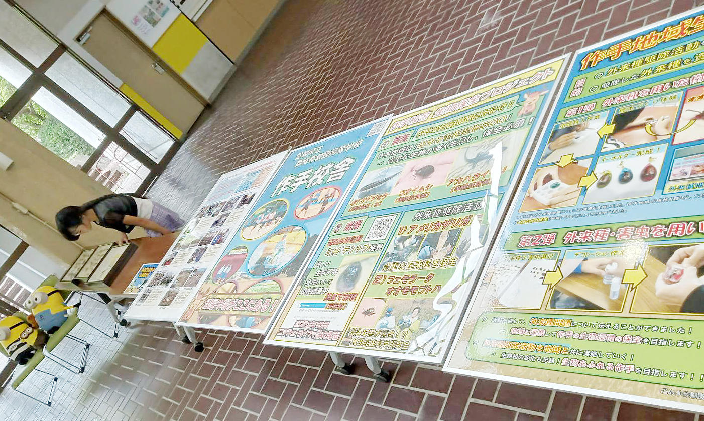 展示1